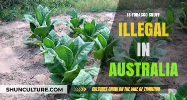 Tobacco Snuff: Australia's Legal Landscape Explored