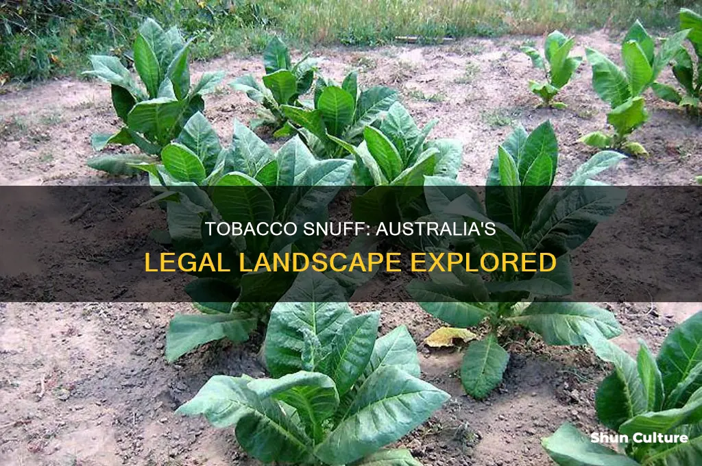is tobacco snuff illegal in australia