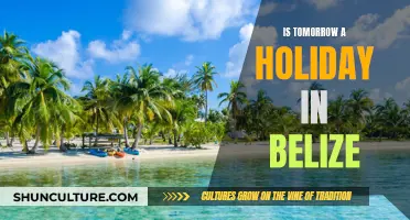 Belize's Surprise Holiday: What You Need to Know