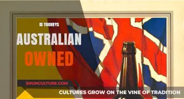 Who Owns Tooheys? Exploring Australian Beer Ownership