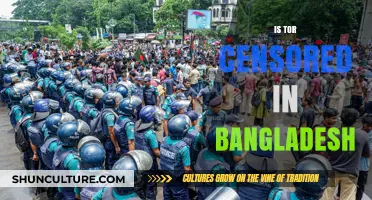 Is Tor Censored in Bangladesh? Exploring Internet Restrictions and Privacy