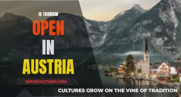 Austria's Tourism Industry: Open for Business?