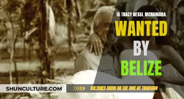 Belize's Hunt for Tracy McNamara: A Tale of Wanted Extradition