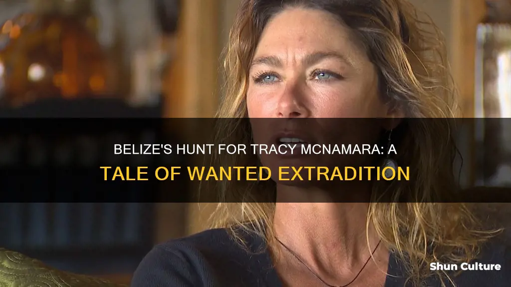 is tracy nessl mcnamara wanted by belize