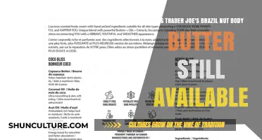 Trader Joe's Brazil Nut Body Butter: Still Available or Discontinued?