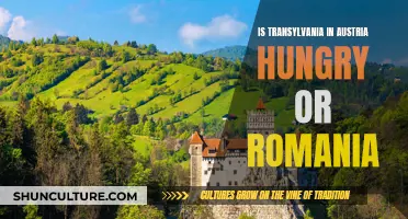 Transylvania's Location: Austria, Hungary, or Romania?