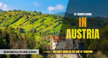 Transylvania and Austria: A Historical Confusion