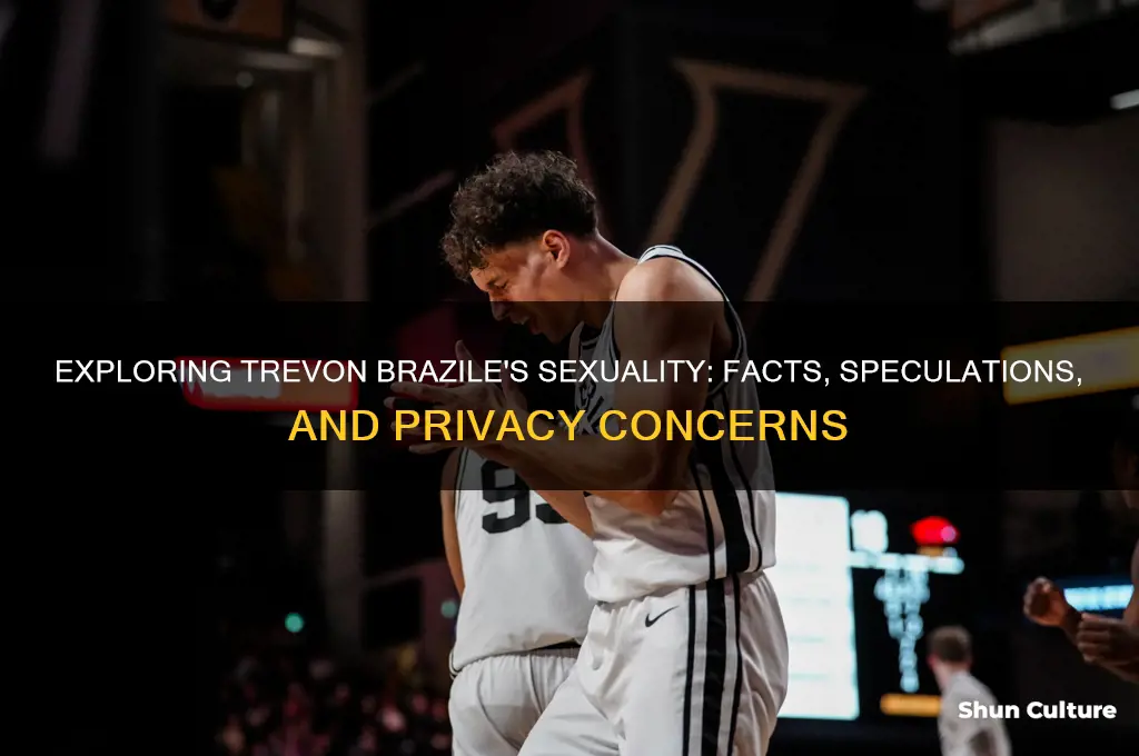 is trevon brazile gay
