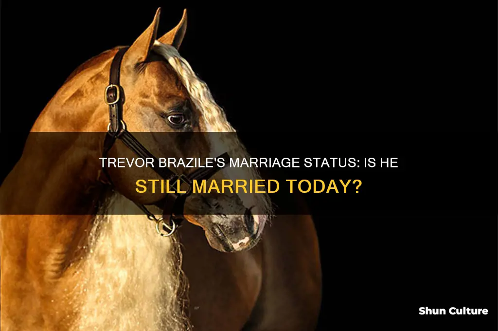 is trevor brazile still married