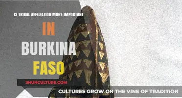 Tribal Loyalties vs. National Identity: The Burkina Faso Dilemma