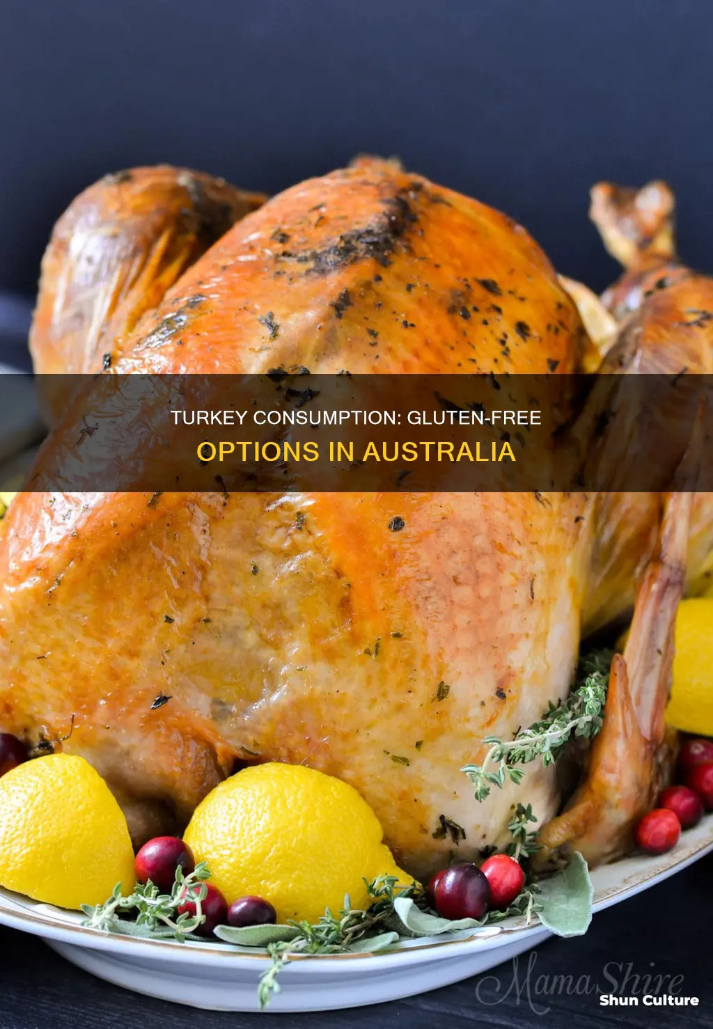 is turkey gluten free australia