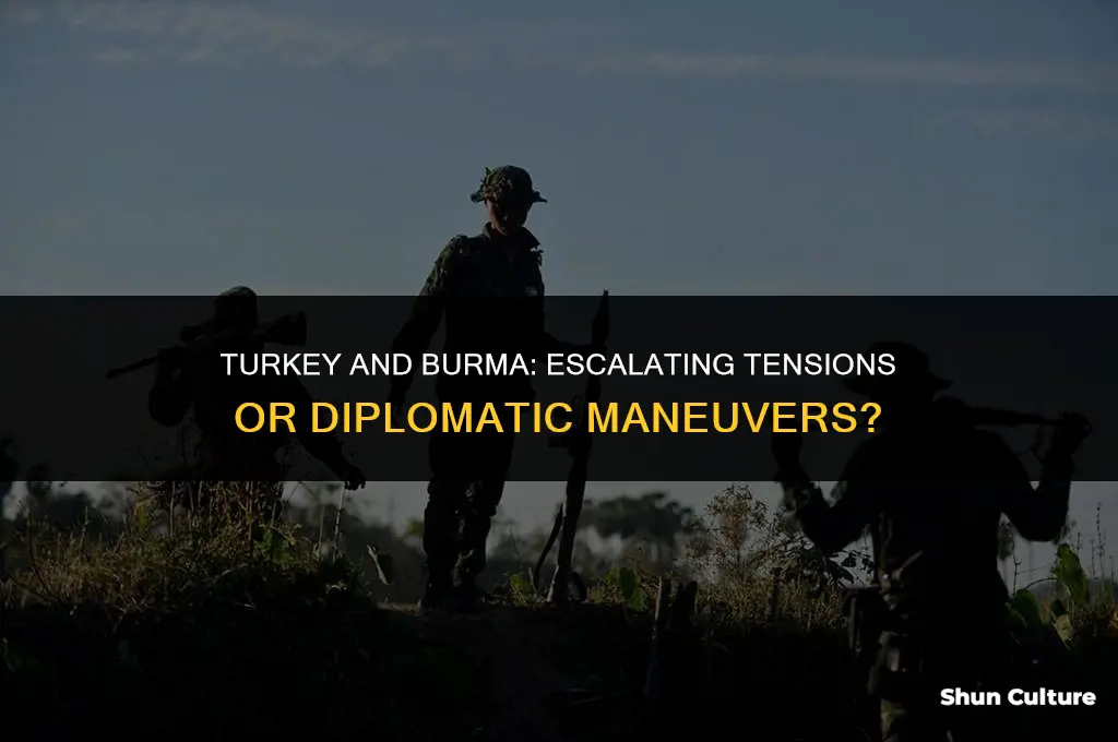 is turkey going to war with burma