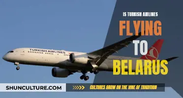 Turkish Airlines' Belarus Flights: To Fly or Not?