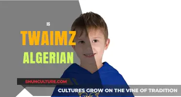 Is Twaimz Algerian? Unraveling the YouTuber's Cultural Background