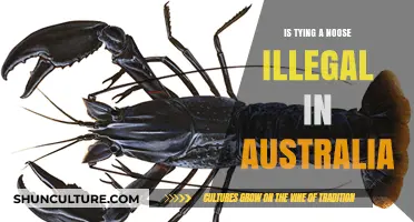 Noose Tying: Australia's Legal Stance