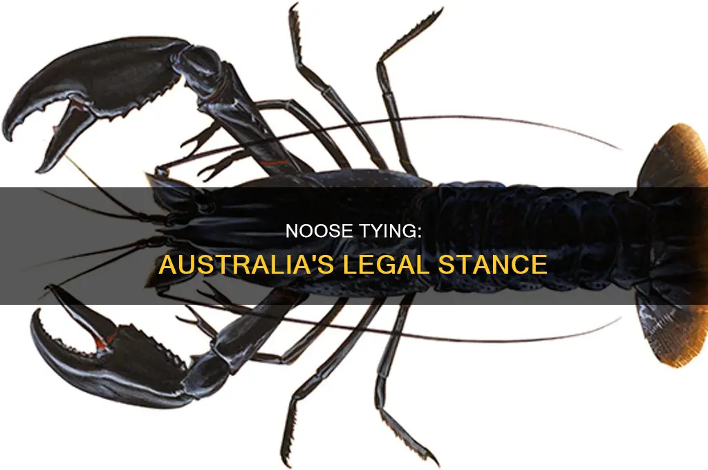 is tying a noose illegal in australia