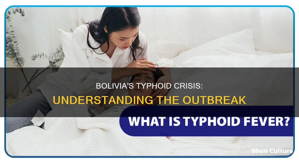 is typhoid on bolivia