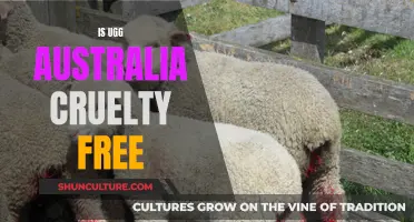 Ugg Australia: Ethical and Stylish?