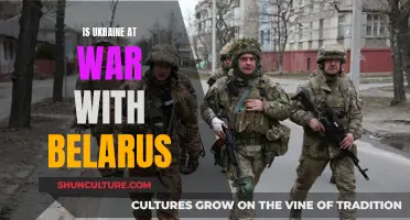 Belarus-Ukraine Conflict: War Allies or Enemies?