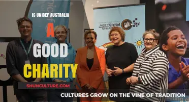 UNICEF Australia: Effective Charity or Not?