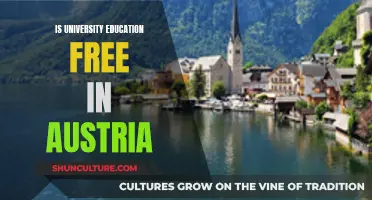 University Education in Austria: Free or Fee-Based?