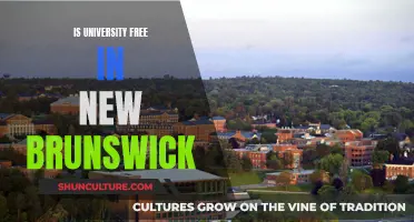University Tuition Fees in New Brunswick