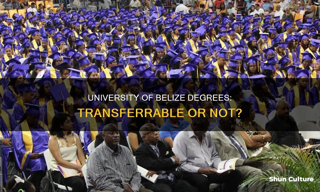 is university of belize degree good in the in us