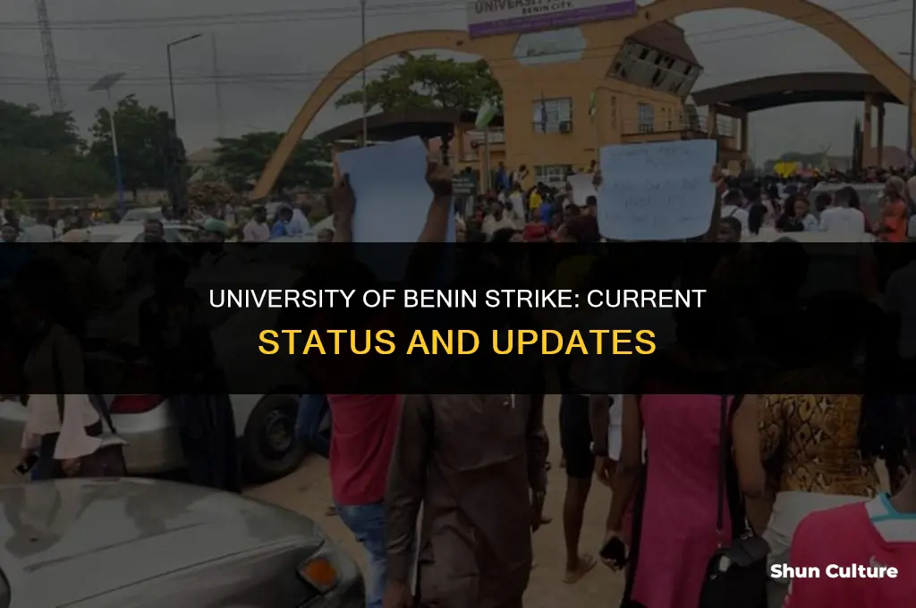is university of benin on strike