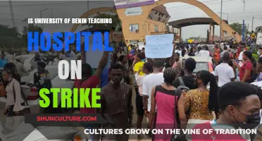 University of Benin Teaching Hospital Strike: What You Need to Know