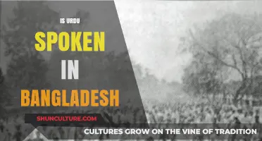 Exploring Urdu's Presence and Influence in Modern-Day Bangladesh