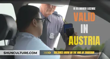 Driver License Validity: US and Austria