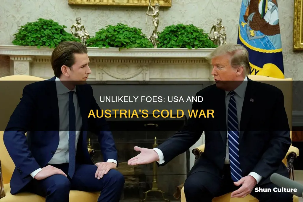 is usa enemies with austria