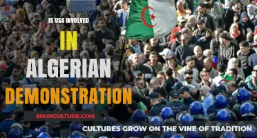 US Involvement in Algerian Demonstrations: Fact or Fiction?