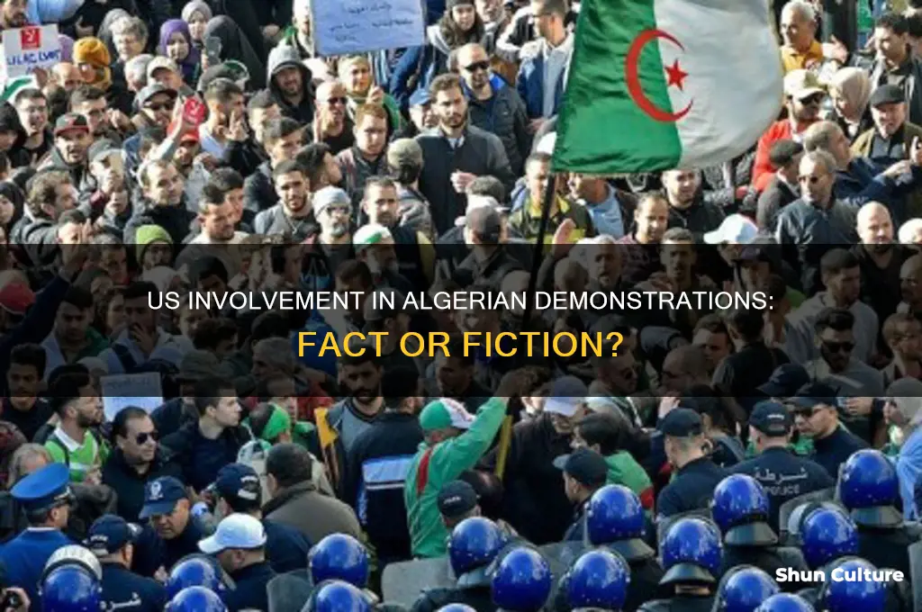 is usa involved in algerian demonstration
