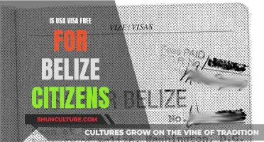 Belize Citizens and the USA Visa: Understanding the Requirements