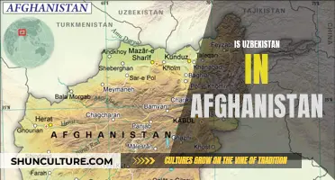 The Geopolitical Ties Between Uzbekistan and Afghanistan: A Complex Relationship