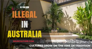 Valium's Legal Status in Australia: What You Need to Know