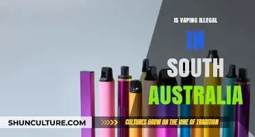 Vaping Laws in South Australia: What's the Verdict?