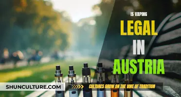 Vaping in Austria: What's the Legal Status?