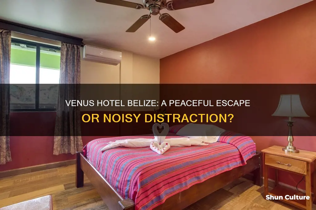 is venus hotel belize loud