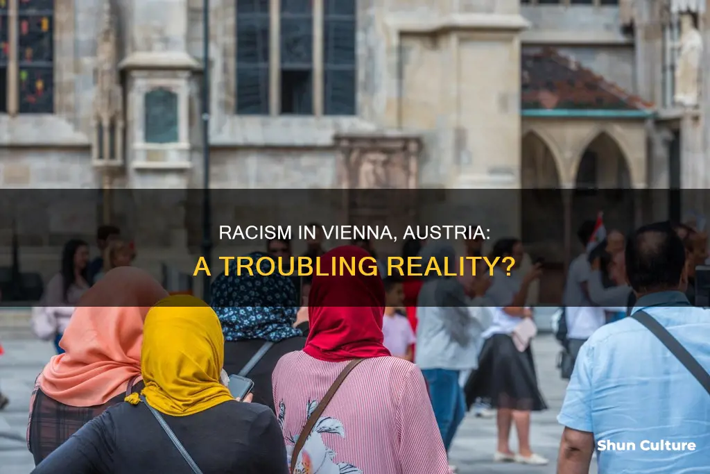 is vienna austria a racist place