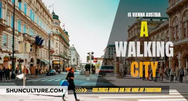 Exploring Vienna by Foot: A Walkable City?