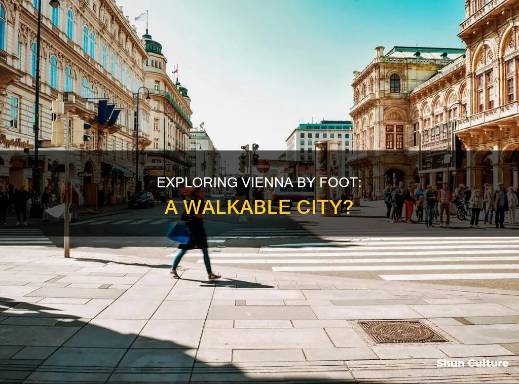 is vienna austria a walking city