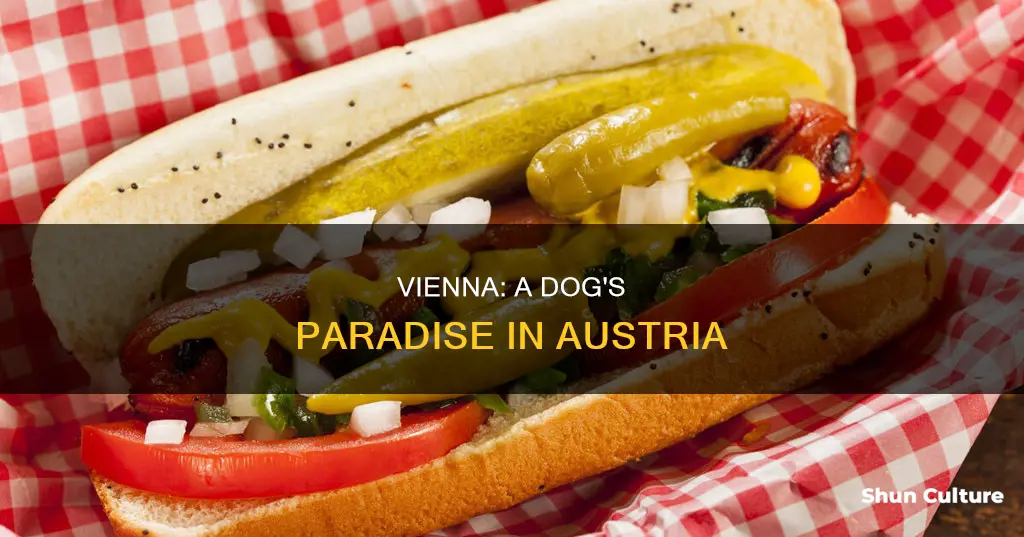 is vienna austria dog friendly