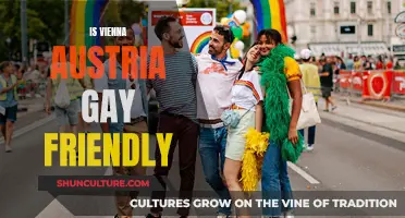 Exploring LGBTQ+ Vienna: A Safe and Welcoming City