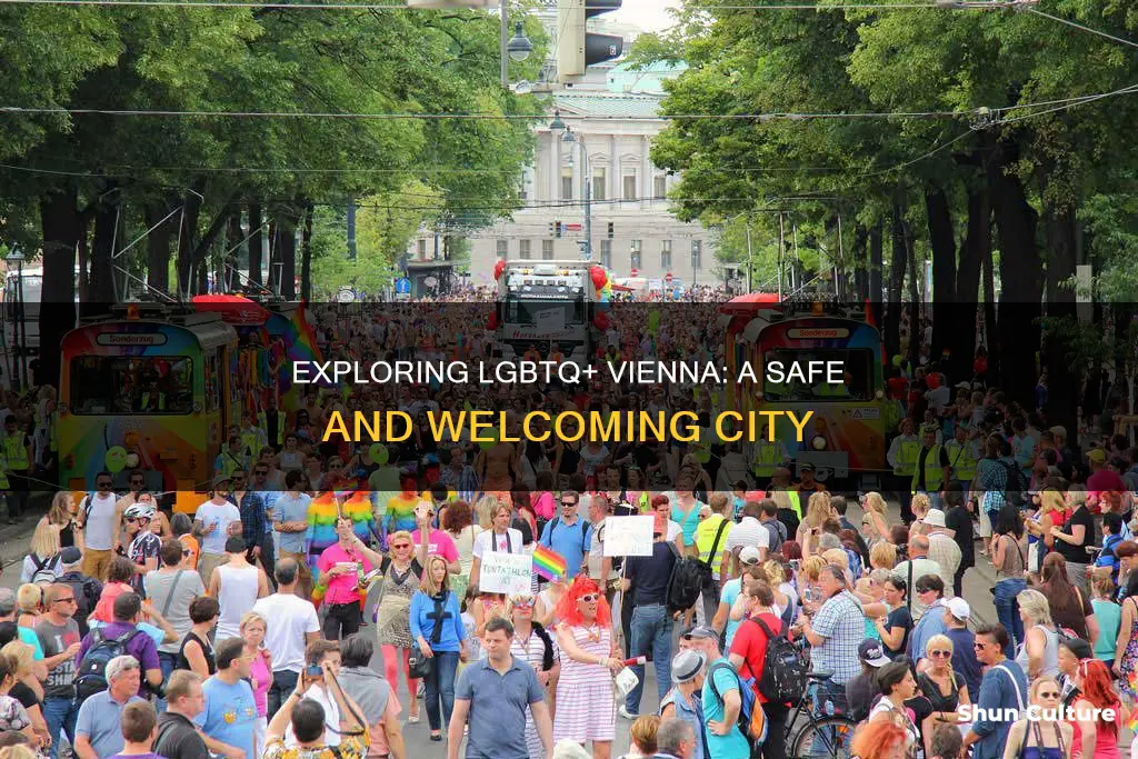 is vienna austria gay friendly