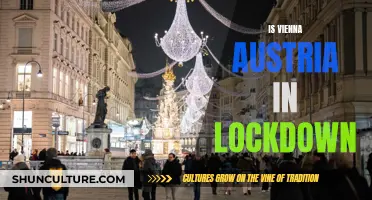 Vienna Lockdown: Is Austria's Capital City Shut Down?