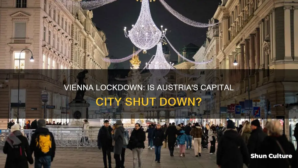 is vienna austria in lockdown