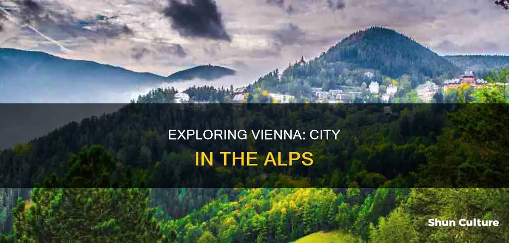 is vienna austria in the alps