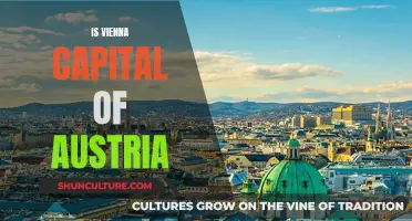 Vienna: Austria's Captivating Capital City